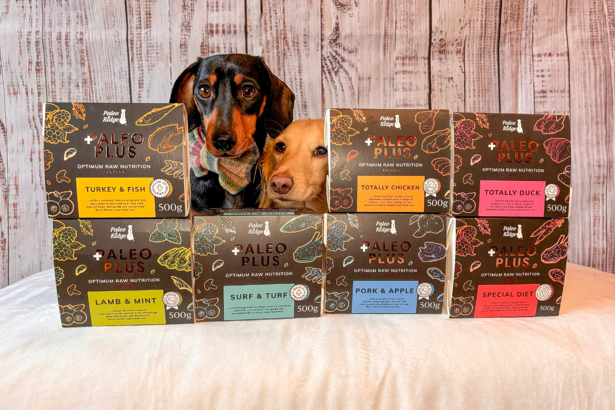 Rebranding for Paleo Ridge premium raw dog food – Edition Dog Professionals
