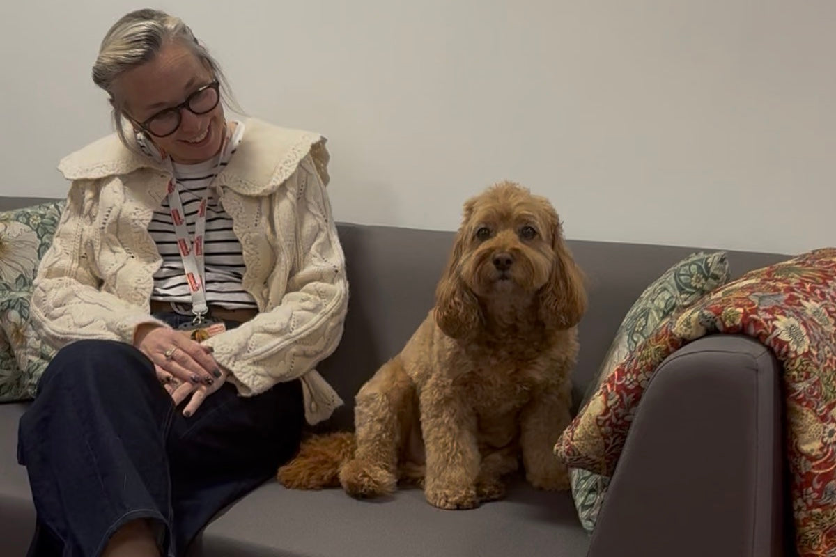 Rosewood Pet Products Scores Social Media Success