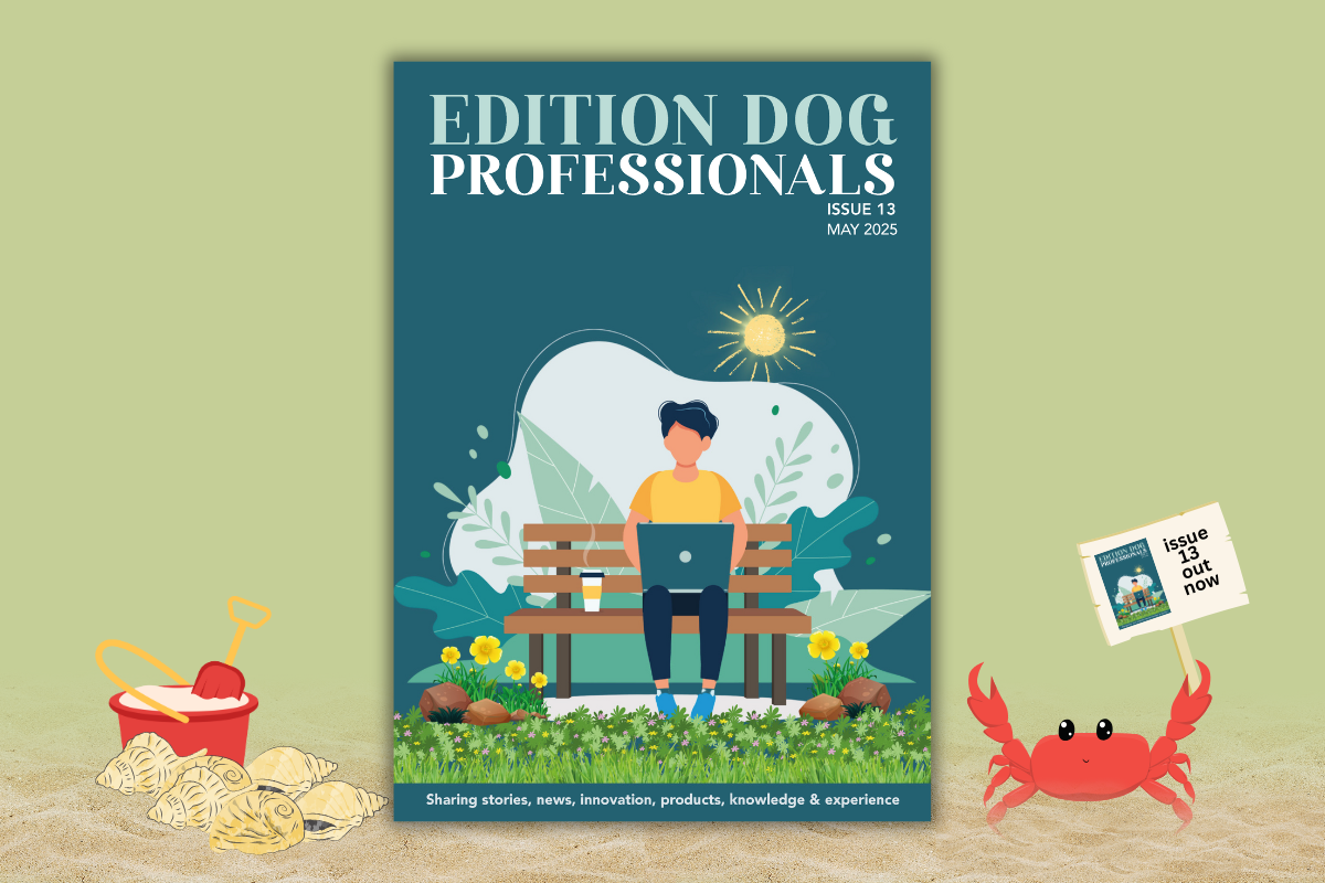 Issue 13