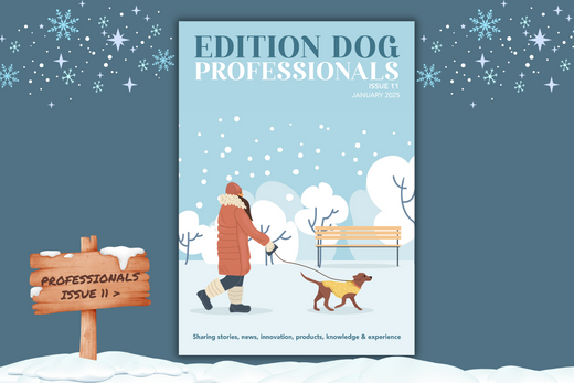 Issue 11