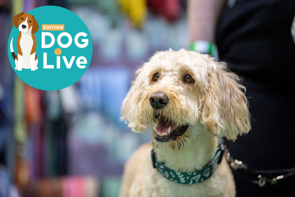 Edition Dog Live 2026 Expands to a Landmark Two-Day Event