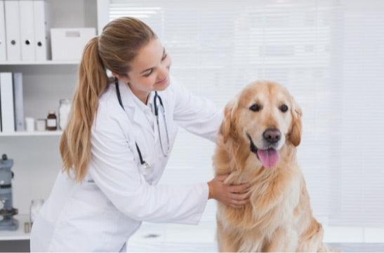 One Cancer, Two Species: A Pioneering Study
