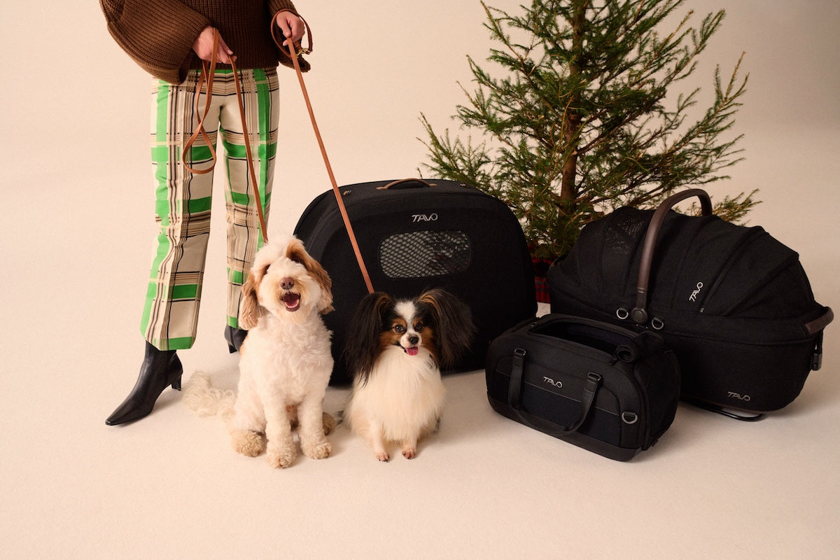 Tavo Pets Unveils Gift-Worthy Innovations For Safer, Stylish Pet Travel This Festive Season