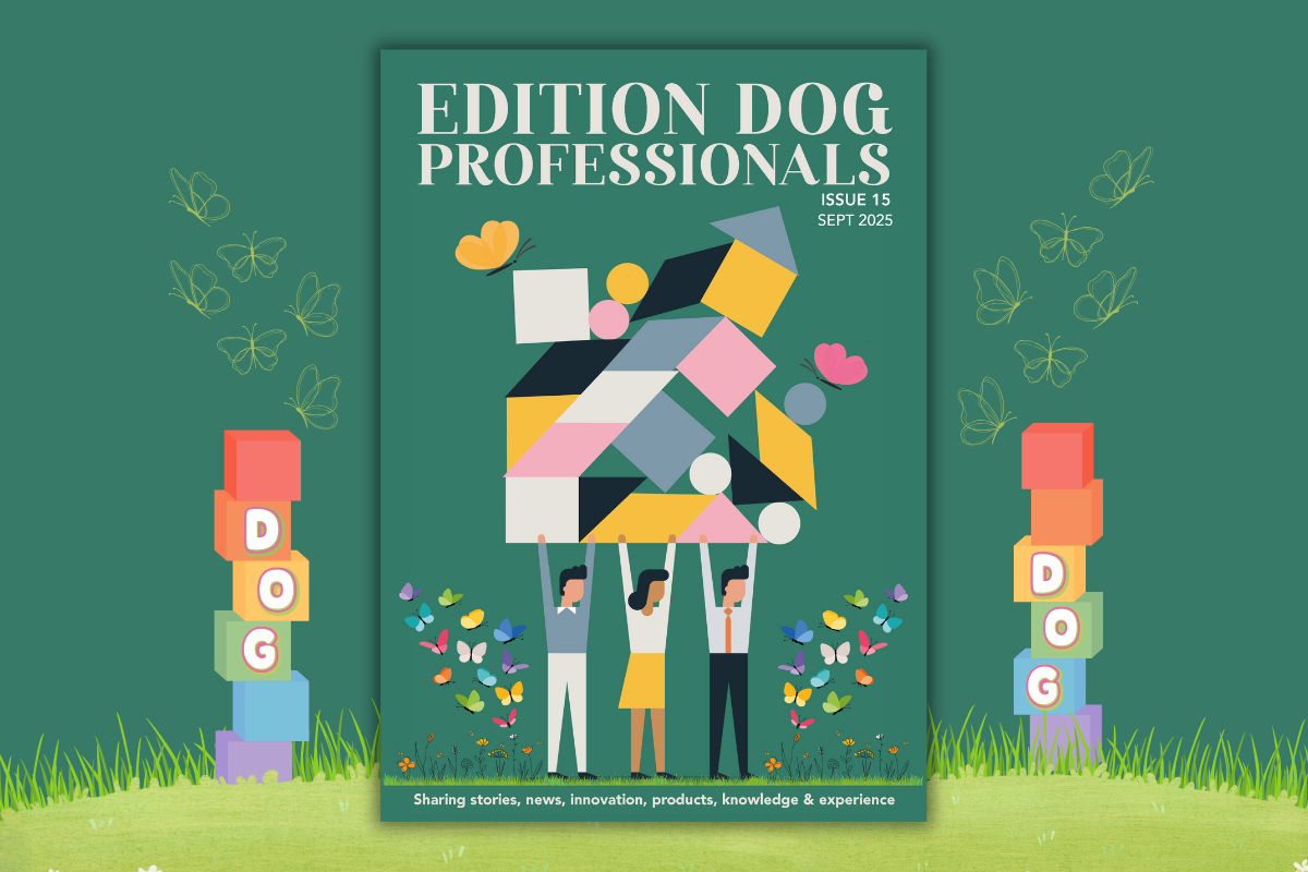Issue 15