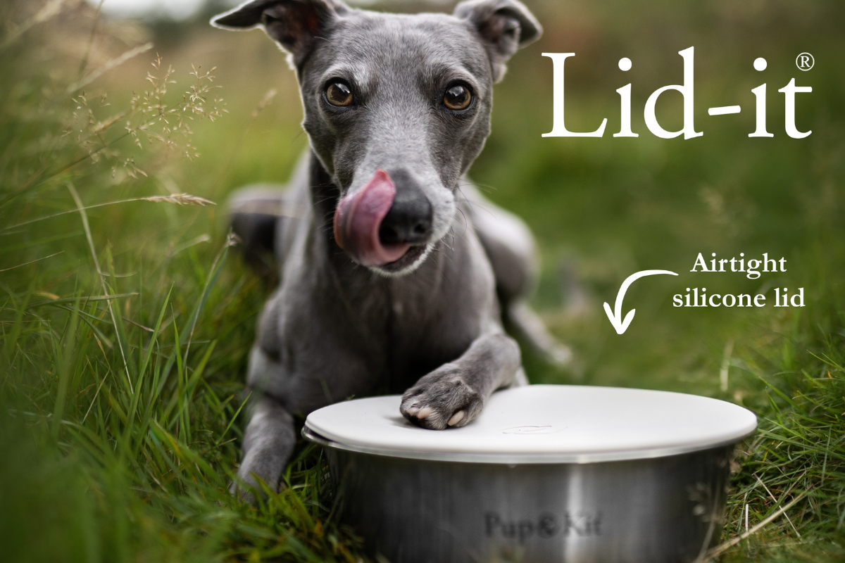 Mealtimes, Made Easy