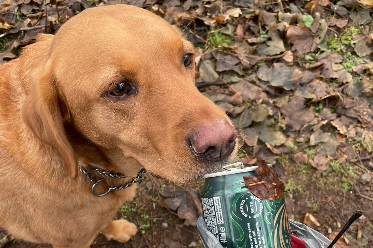 7,000 dog owners remove over 39 million pieces of litter.