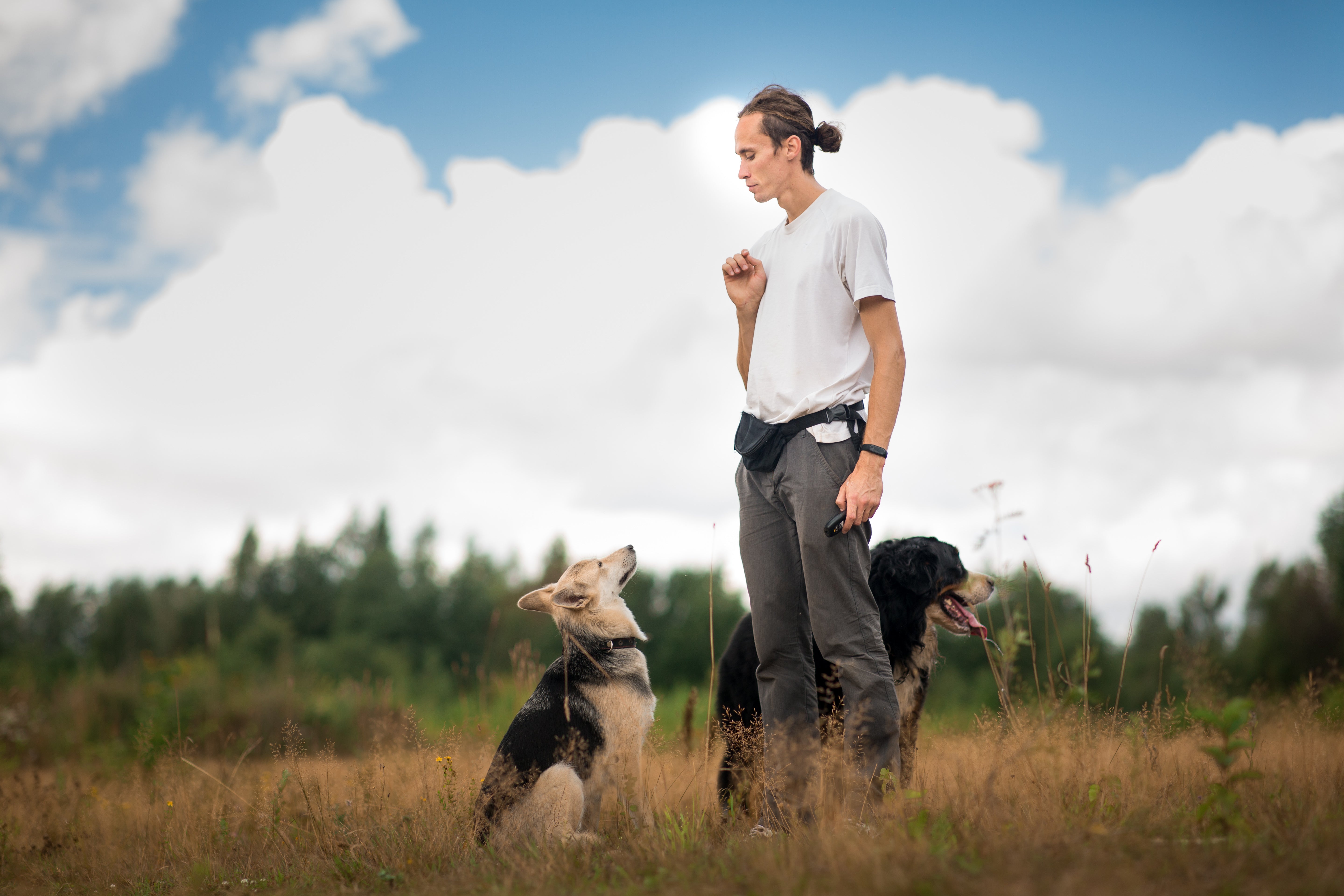 Professional Boundaries for Dog Professionals: When Caring Starts to Cost