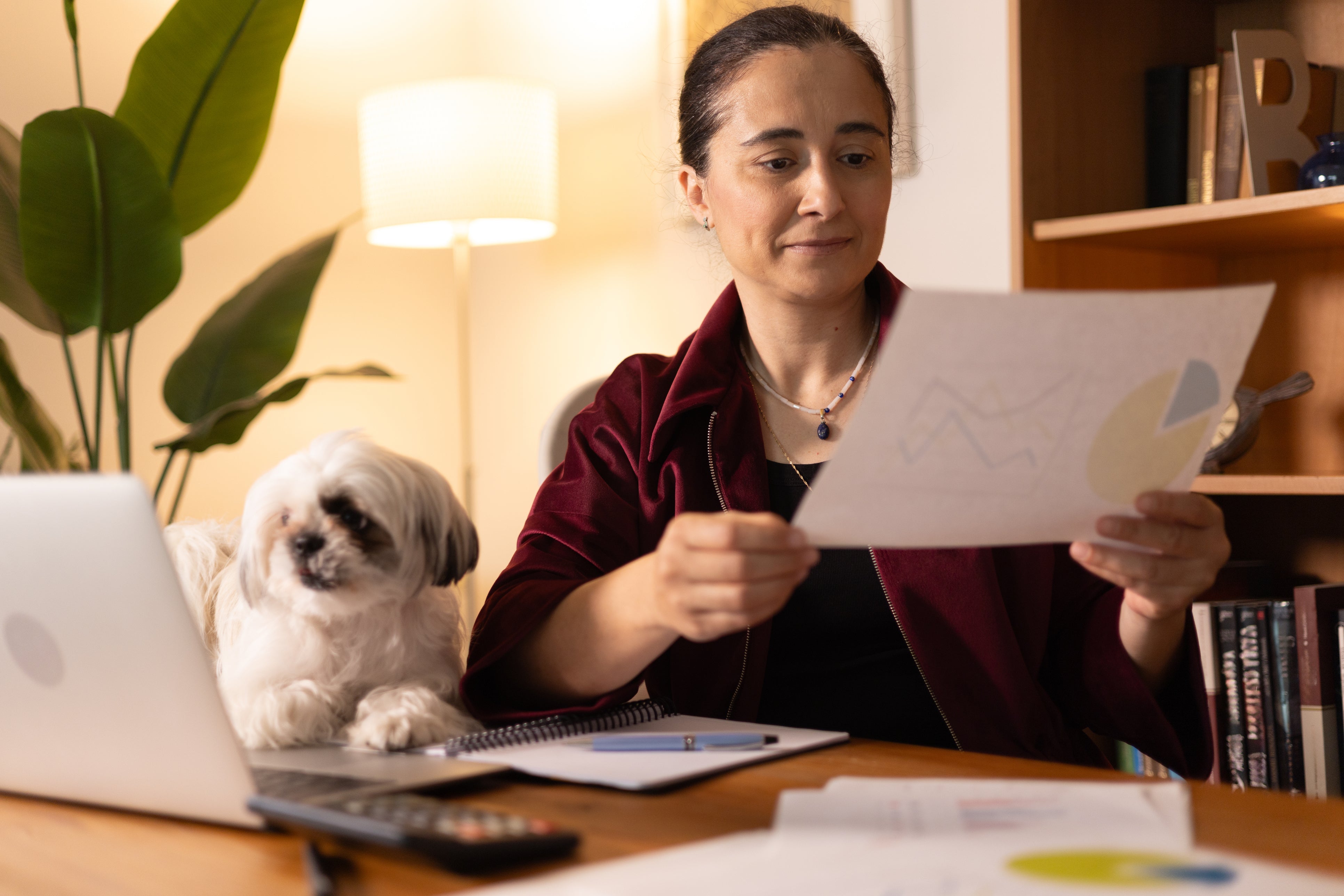 Running a Dog Business Alone: Boundaries, Burnout and Support