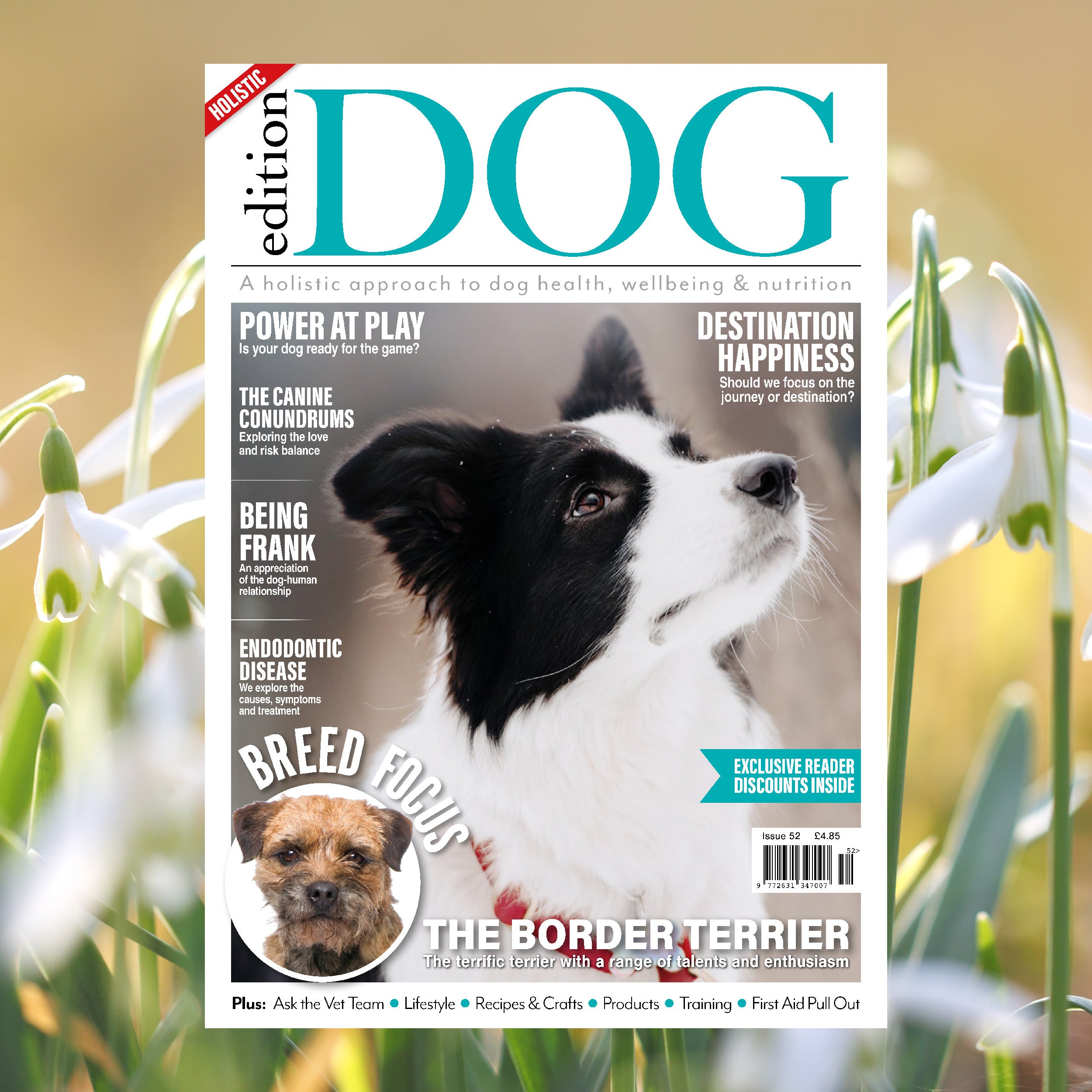 Edition Dog free issue